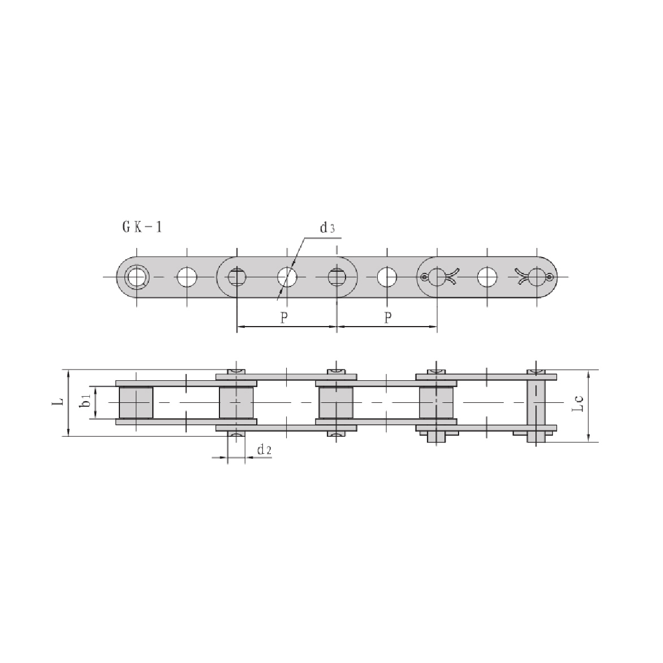중앙 구멍이 있는 이중 피치 컨베이어 체인