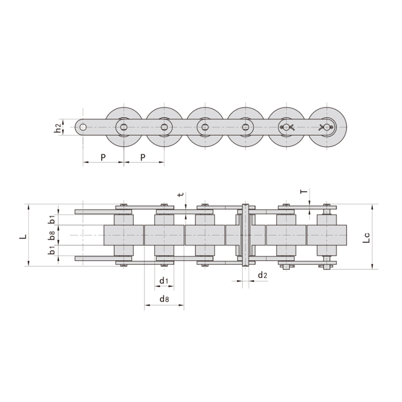 더블 플러스 체인