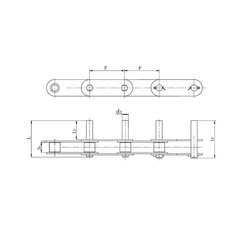 핀이 확장된 더블 피치 컨베이어 체인