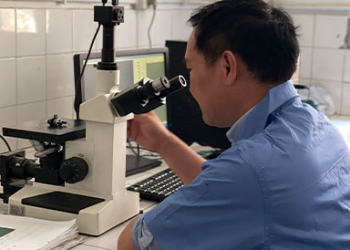 항저우 Qianjiang Chain Industries Co., Ltd.